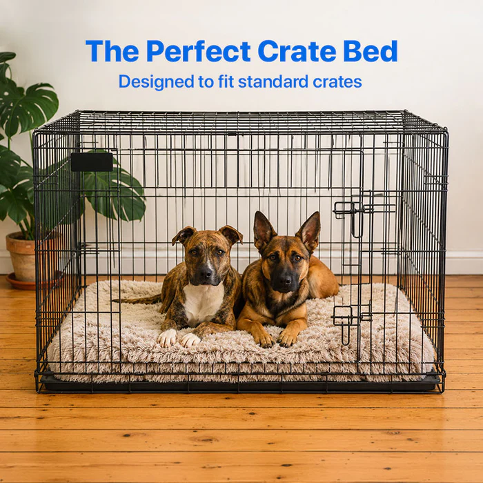 Why an Ultra Memory Foam Dog Bed Is the Best Investment for Your Pet’s Comfort